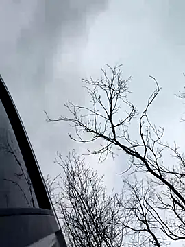 Model9798 online show from December 22, 9:31 am