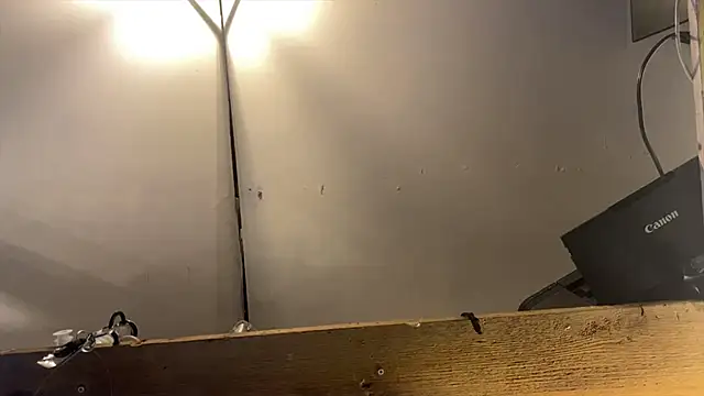 xdresserwithass online show from February 26, 6:46 am