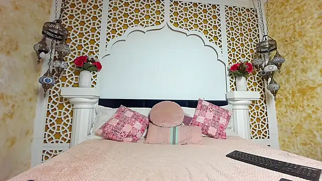 Snapshot of AleshaArabian chatting on November 3, 5:01 am AleshaArabian online show from November 3, 5:01 am