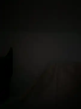 Marocainegroscul online show from November 16, 7:02 am