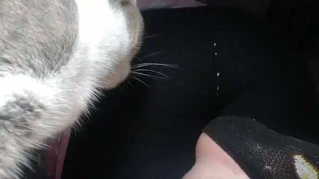 prettyangelsquirt online show from April 14, 11:43 pm