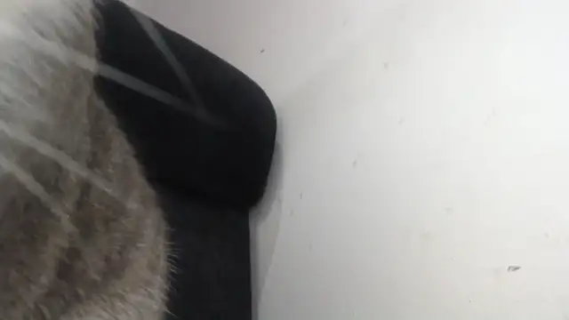 prettyangelsquirt online show from April 8, 11:28 pm