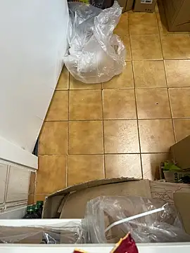 Mindnorthcam2 online show from February 16, 7:40 am