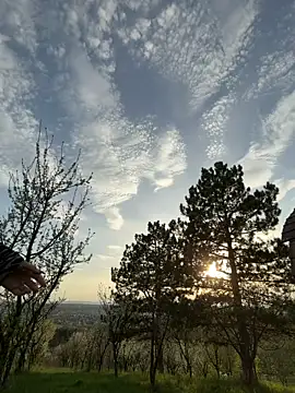 Alimela online show from April 15, 4:11 pm