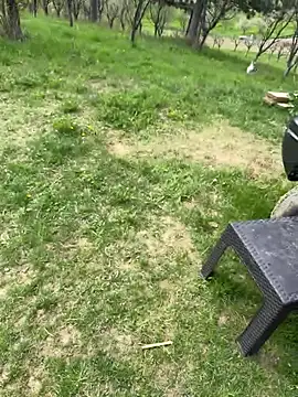 Alimela online show from April 13, 11:58 am