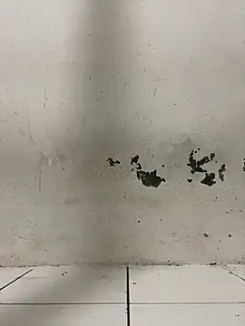 ditiya18 online show from February 24, 1:42 pm