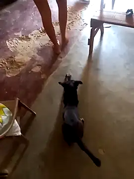 sexicaribe2 online show from October 16, 6:16 pm