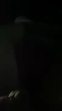 Kingnik13 online show from November 23, 6:34 am