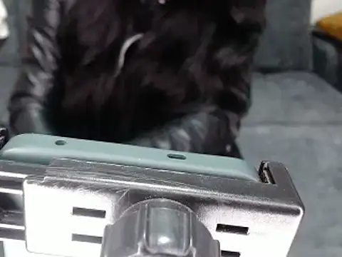 Snapshot of kamila-diablita chatting on March 4, 3:59 pm kamila-diablita online show from March 4, 3:59 pm