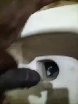 naxusxh online show from November 30, 4:30 pm