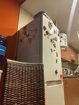 Snapshot of camelia3 chatting on October 25, 7:36 pm camelia3 online show from October 25, 7:36 pm