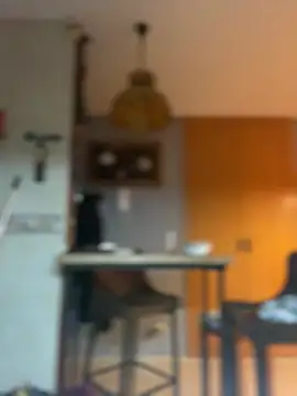 camelia3 online show from February 25, 12:44 am