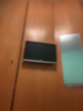 camelia3 online show from March 10, 7:18 pm