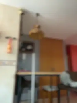 camelia3 online show from March 9, 10:19 am