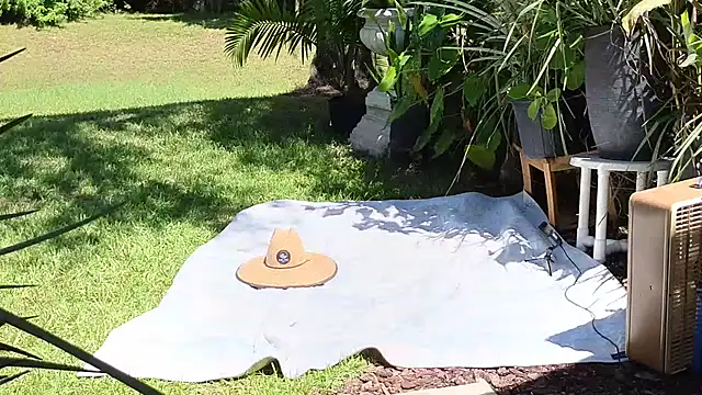 Snapshot of eliberator1777 chatting on September 21, 5:07 pm eliberator1777 online show from September 21, 5:07 pm