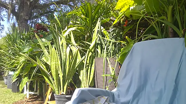 eliberator1777 online show from May 16, 7:57 pm