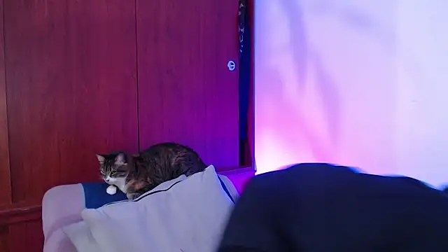 Raventh  online show from March 14, 12:00 pm