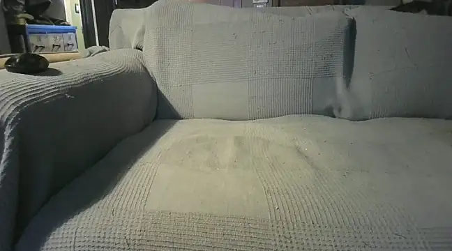 naked bear online show from December 19, 7:29 pm