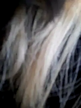 Dirtyfeelin online show from December 14, 12:00 pm