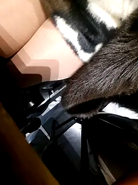 Dirtyfeelin online show from November 18, 2:42 pm