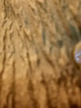 Dirtyfeelin online show from February 13, 11:28 am