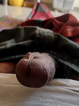 Hausa 44 online show from November 5, 2:36 am