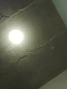 Indianbloom- online show from April 6, 9:32 am