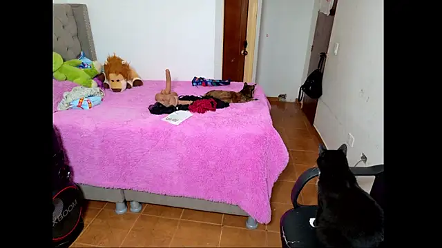 emily honter online show from December 14, 8:47 pm