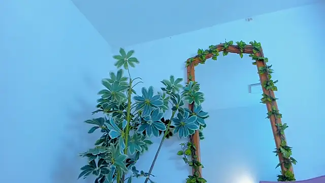 NinaWong online show from February 26, 7:03 pm