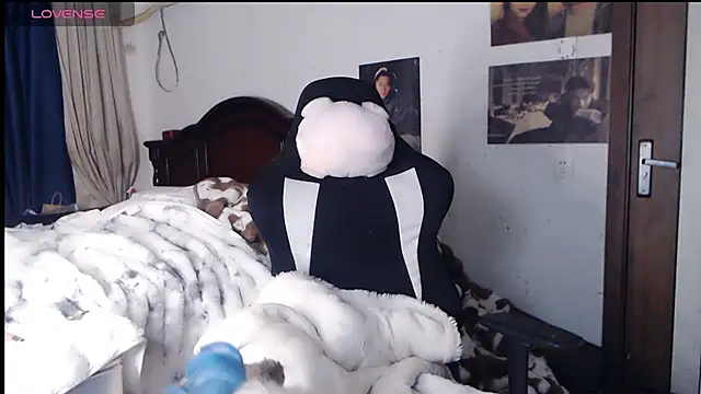 candy cola online show from November 13, 11:14 am