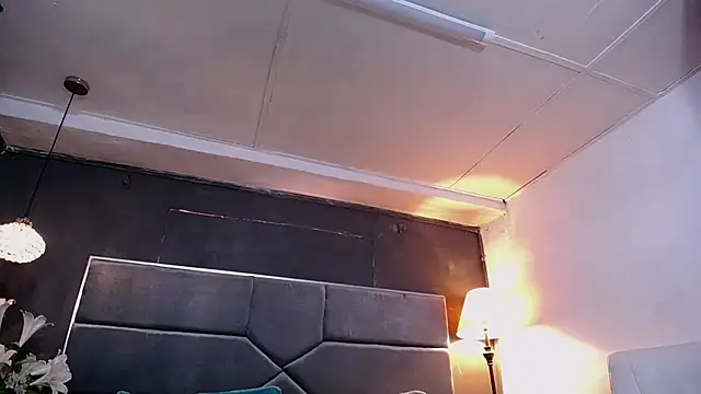 teddyfit19cm online show from January 12, 12:56 pm