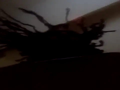 Snapshot of PrinceNoAlbert chatting on September 11, 12:38 pm PrinceNoAlbert online show from September 11, 12:38 pm