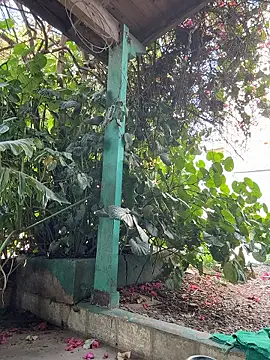 sofy alone online show from January 13, 12:09 pm