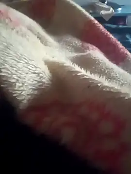 casaltrasante online show from March 13, 5:45 am