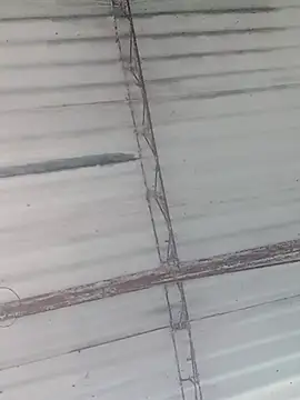 jonnygomez online show from January 18, 11:35 am