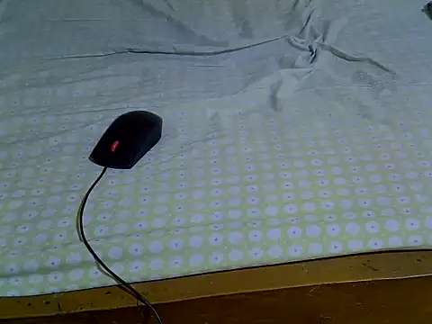 EbonyMina  online show from April 10, 1:40 pm