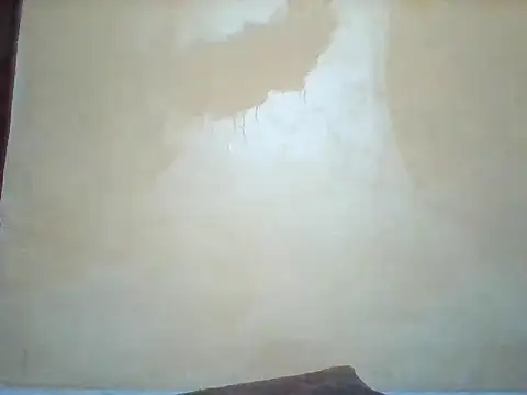 Africangal online show from March 20, 8:26 am