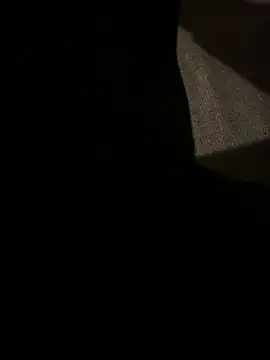 Snapshot of stevesaa chatting on December 15, 6:14 pm stevesaa online show from December 15, 6:14 pm