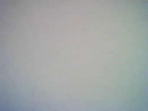 Snapshot of SweetAsianAss chatting on September 20, 3:00 am SweetAsianAss online show from September 20, 3:00 am