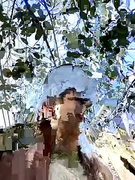 everybody loves pussy online show from October 19, 2:31 pm