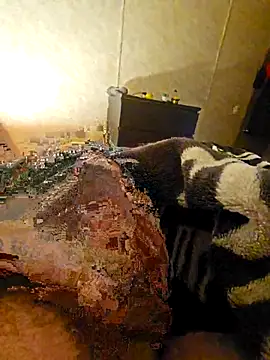 Advocate 420 online show from December 3, 6:47 am