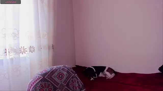 aluna 0310 online show from December 20, 8:45 pm