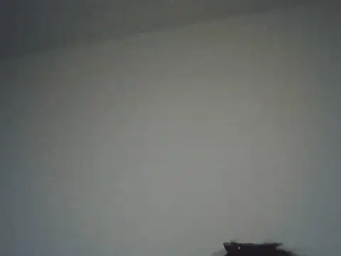 FallenDevil online show from November 16, 8:13 pm