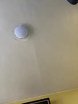 Snapshot of Flakka95 chatting on February 5, 1:54 pm Flakka95 online show from February 5, 1:54 pm