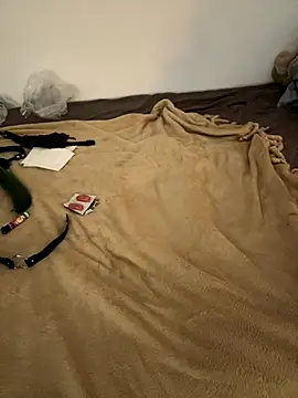 Snapshot of RobinSub chatting on October 4, 9:22 am RobinSub online show from October 4, 9:22 am