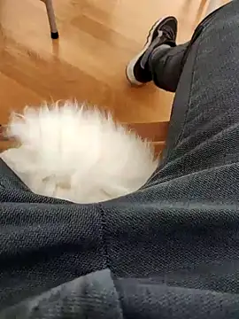 papiculo86 online show from February 2, 9:07 am