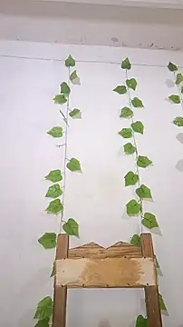 Snapshot of shayna_all chatting on January 5, 6:55 pm shayna all online show from January 5, 6:55 pm