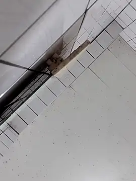 cindy01113520 online show from October 2, 3:04 pm