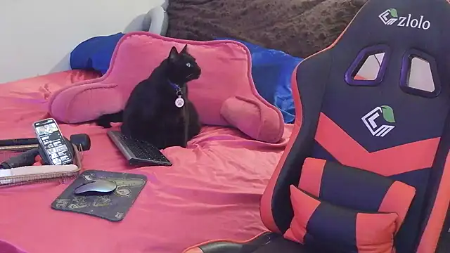 sugahfreeee online show from December 14, 8:09 am