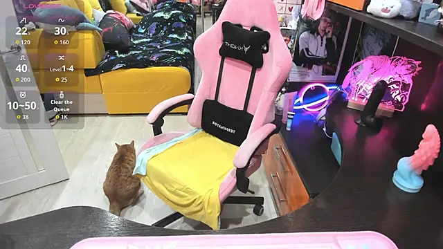 Softie Sofy online show from April 8, 2:57 am